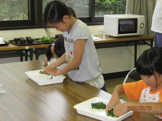 茶摘